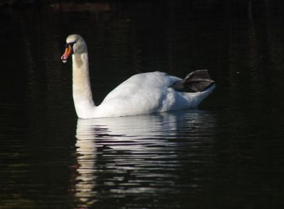 Прикрепленное изображение: 003.jpg